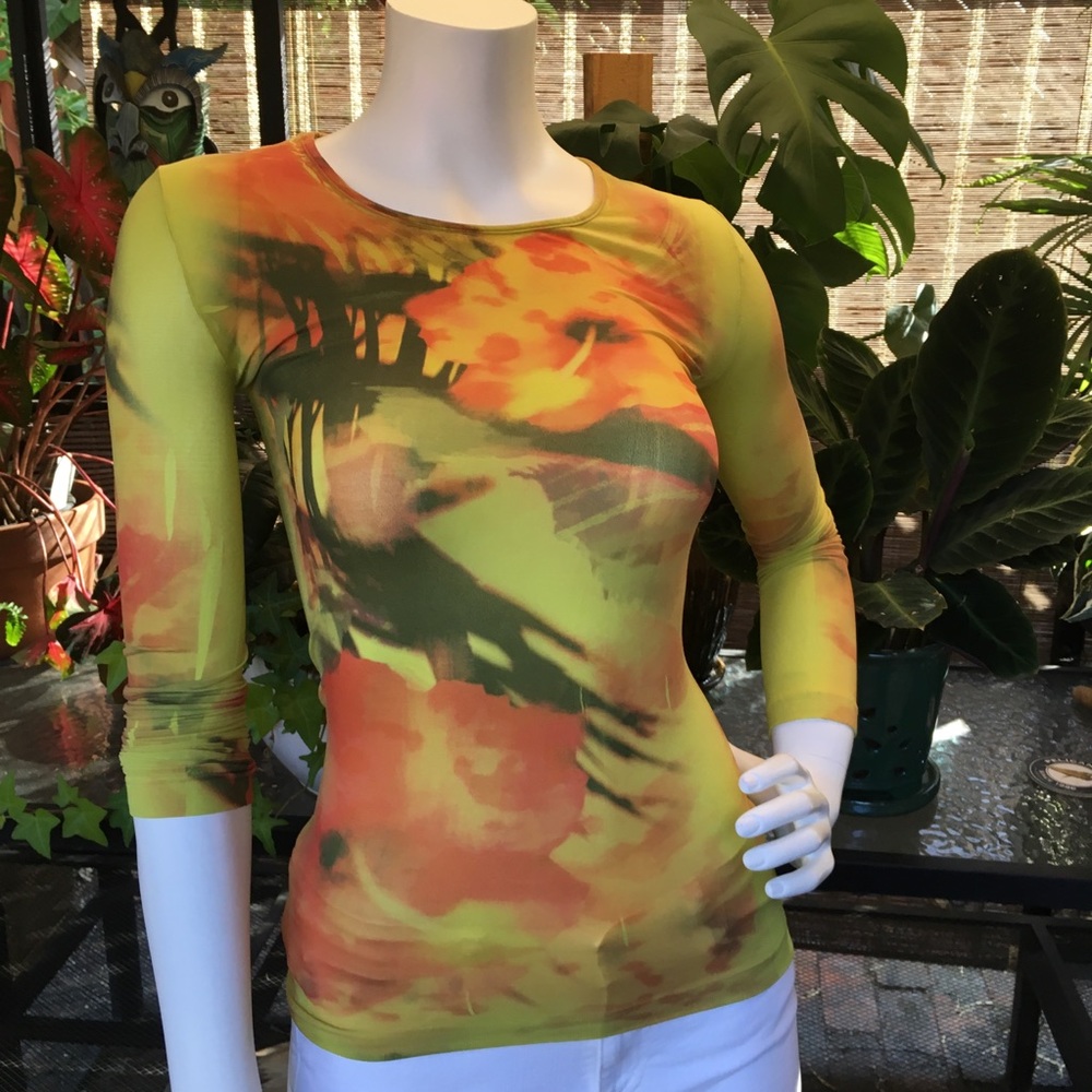 AMB Sheer Close-Fitting Colorful Long-Sleeved Top